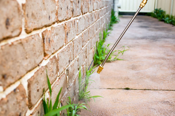 Best Pest Prevention Services  in Denton, TX